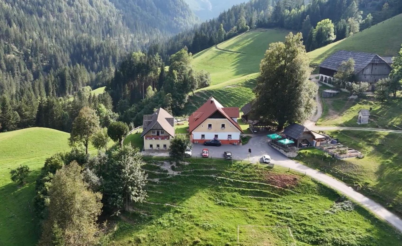 דירות סולצאבה Tourist Farm Gradisnik מראה חיצוני תמונה