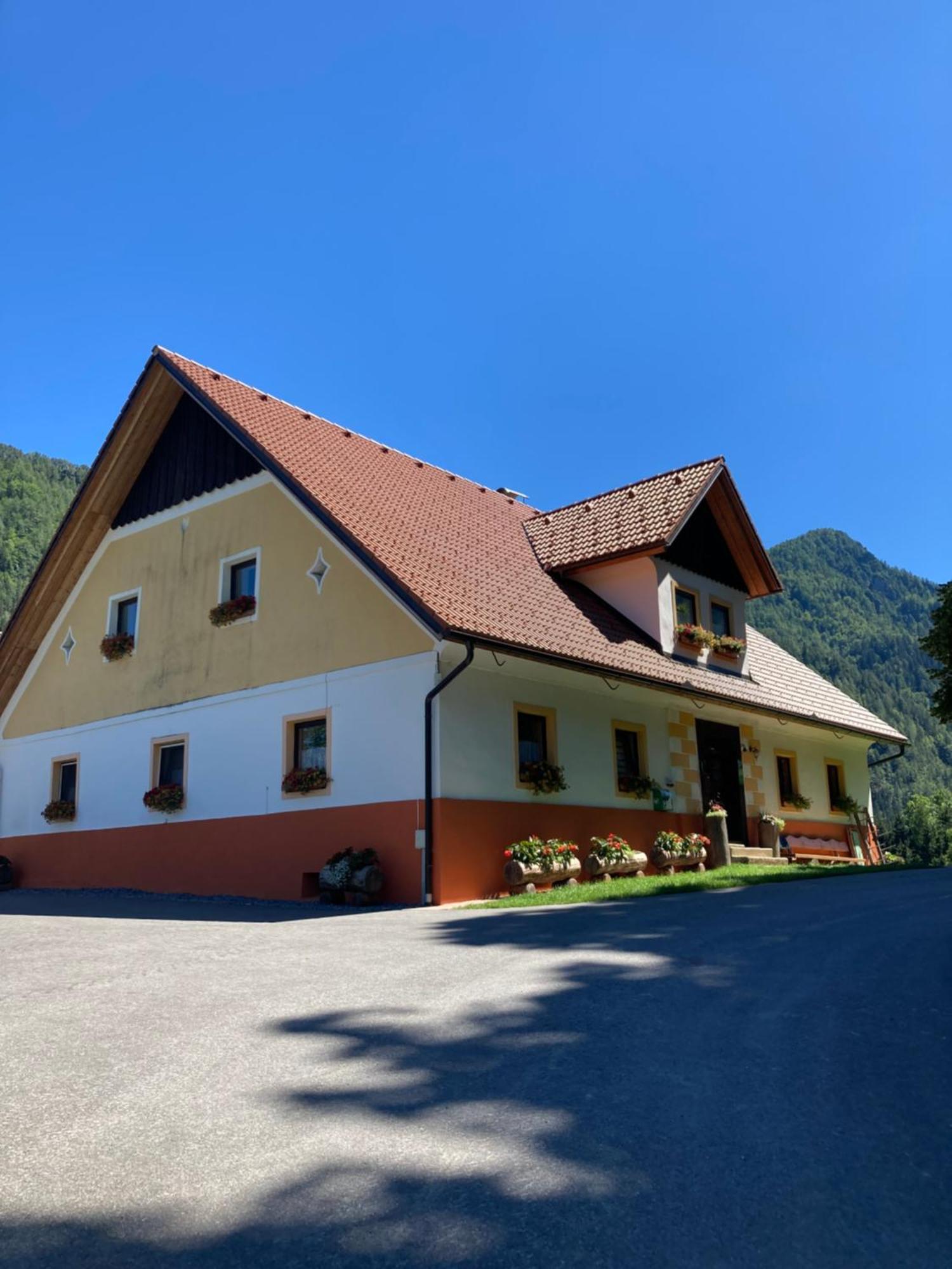 דירות סולצאבה Tourist Farm Gradisnik מראה חיצוני תמונה